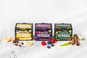 Bisher bietet YoFix zwei Produktkategorien in unterschiedlichen Geschmacksrichtungen an: den milch- und sojafreien Haferbrei „Yo’Ridge“ (im Bild) sowie die Joghurt-Alternative „Only“ als Trink- und Löffelvariante, © YoFix Probiotics