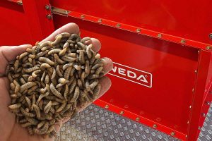 made by WEDA: Die WEDA Dammann & Westerkamp GmbH liefert die komplette Insektenfütterungsanlage für den polnischen Futtermittelhersteller<br />HiProMine, © WEDA
